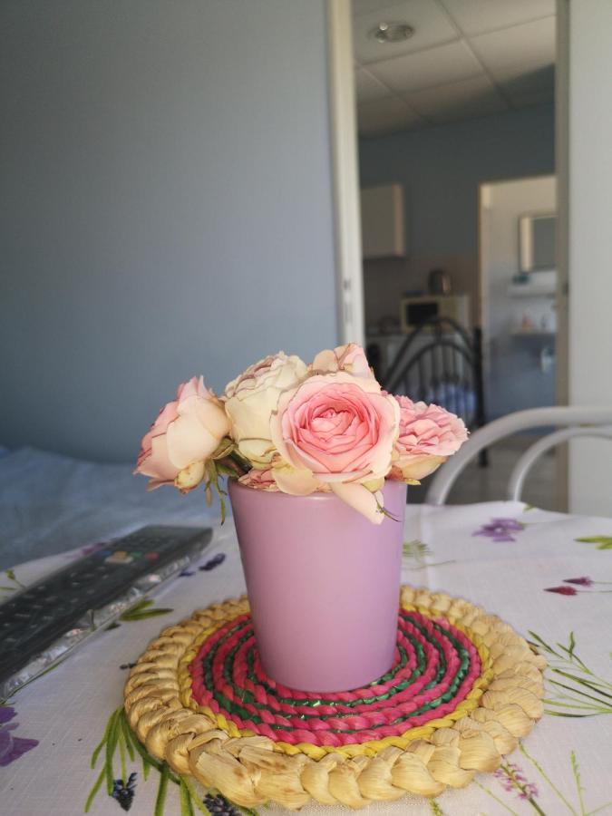 Appartamento Hodosi Apartman Veľký Meder Esterno foto